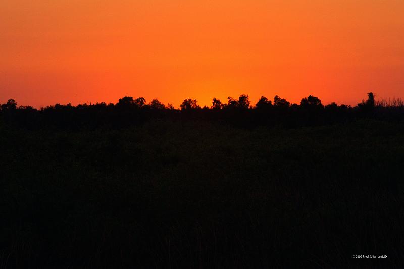 20090220_181817 D3 P1 5100x3400 srgb.jpg - Loxahatchee National Wildlife Preserve